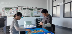 总量增加、质量提拔、变量可控 从数据透视拓展